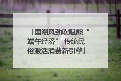 国潮风劲吹赋能“端午经济” 传统民俗激活消费新引擎