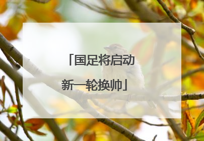 国足将启动新一轮换帅
