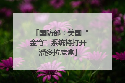 国防部：美国“金穹”系统将打开潘多拉魔盒