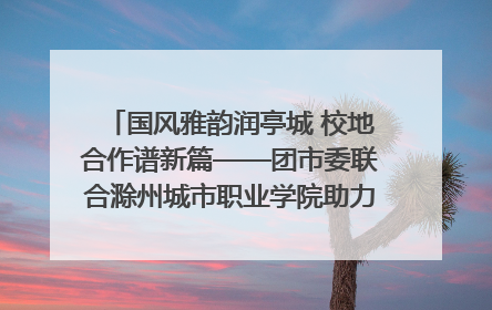 国风雅韵润亭城 校地合作谱新篇——团市委联合滁州城市职业学院助力传统文化“破圈”绽放