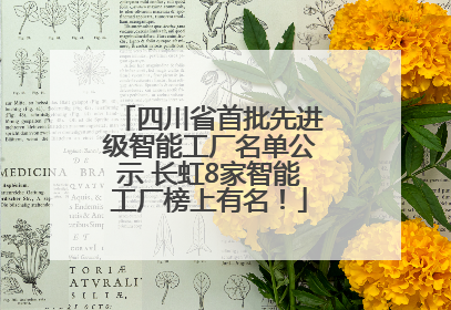 四川省首批先进级智能工厂名单公示 长虹8家智能工厂榜上有名！