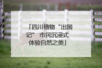 四川植物“出国记” 市民沉浸式体验自然之美