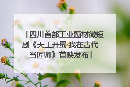 四川首部工业题材微短剧《天工开蜀·我在古代当匠师》首映发布