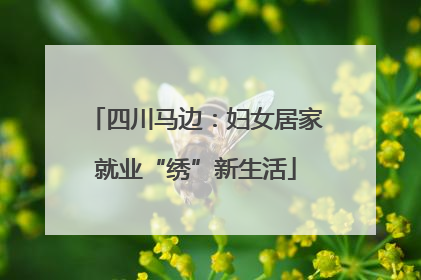 四川马边：妇女居家就业“绣”新生活