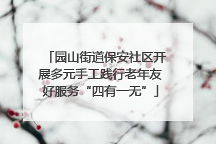 园山街道保安社区开展多元手工践行老年友好服务“四有一无”