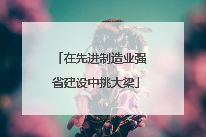 在先进制造业强省建设中挑大梁