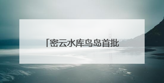 密云水库鸟岛首批幼鸟成功离巢试飞