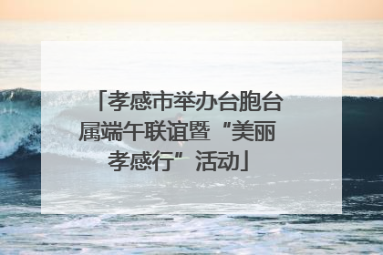 孝感市举办台胞台属端午联谊暨“美丽孝感行”活动