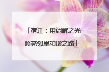 宿迁：用调解之光照亮邻里和谐之路