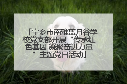 宁乡市南雅蓝月谷学校党支部开展“传承红色基因 凝聚奋进力量”主题党日活动