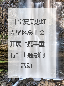 宁夏吴忠红寺堡区总工会开展“携手童行”主题慰问活动