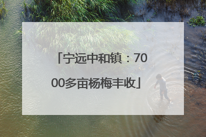 宁远中和镇：7000多亩杨梅丰收
