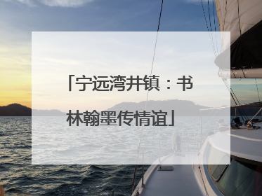 宁远湾井镇：书林翰墨传情谊