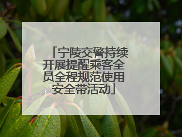 宁陵交警持续开展提醒乘客全员全程规范使用安全带活动