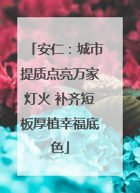 安仁：城市提质点亮万家灯火 补齐短板厚植幸福底色