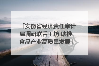 安徽省经济责任审计局调研联舌工坊 助推食品产业高质量发展