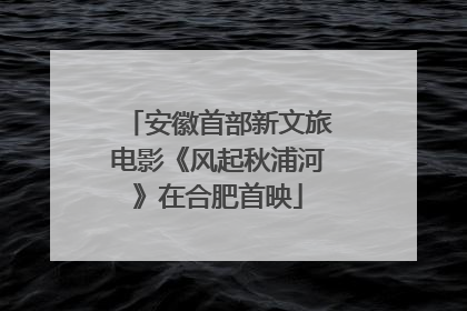 安徽首部新文旅电影《风起秋浦河》在合肥首映