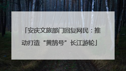 安庆文旅部门回复网民：推动打造“黄鹄号”长江游轮