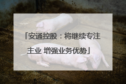 安通控股：将继续专注主业 增强业务优势