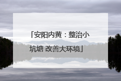 安阳内黄：整治小坑塘 改善大环境