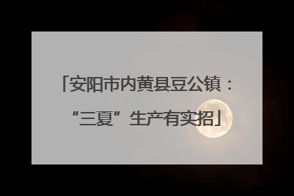 安阳市内黄县豆公镇：“三夏”生产有实招