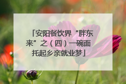 安阳餐饮界“胖东来”之（四）一碗面托起乡亲就业梦