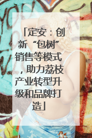 定安：创新“包树”销售等模式，助力荔枝产业转型升级和品牌打造