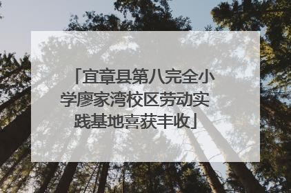 宜章县第八完全小学廖家湾校区劳动实践基地喜获丰收
