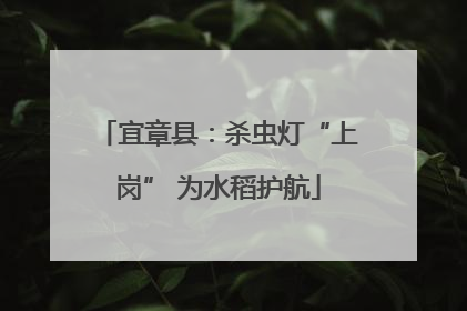 宜章县：杀虫灯“上岗” 为水稻护航