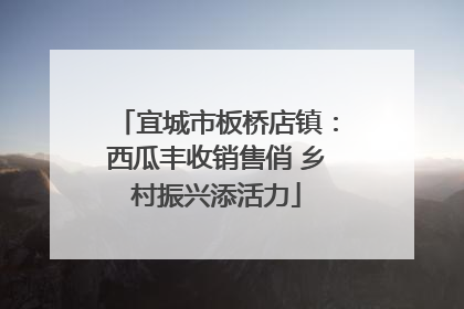 宜城市板桥店镇：西瓜丰收销售俏 乡村振兴添活力