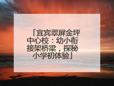 宜宾翠屏金坪中心校：幼小衔接架桥梁，探秘小学初体验