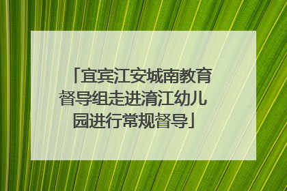 宜宾江安城南教育督导组走进淯江幼儿园进行常规督导