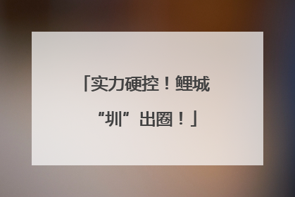 实力硬控！鲤城“圳”出圈！