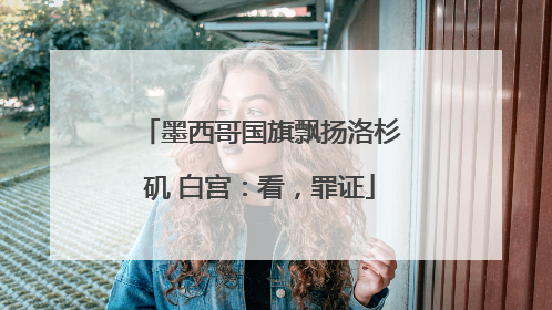 墨西哥国旗飘扬洛杉矶 白宫：看，罪证