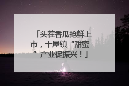 头茬香瓜抢鲜上市，十屋镇“甜蜜”产业促振兴！