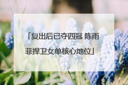 复出后已夺四冠 陈雨菲捍卫女单核心地位