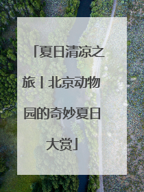 夏日清凉之旅丨北京动物园的奇妙夏日大赏