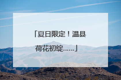 夏日限定！温县荷花初绽……