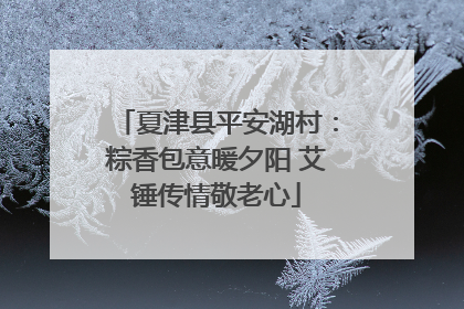夏津县平安湖村：粽香包意暖夕阳 艾锤传情敬老心