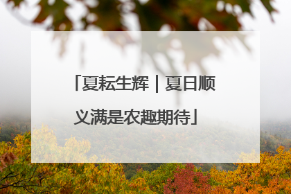 夏耘生辉｜夏日顺义满是农趣期待