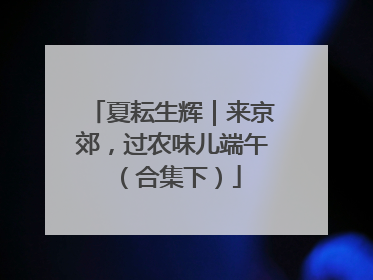 夏耘生辉｜来京郊，过农味儿端午（合集下）