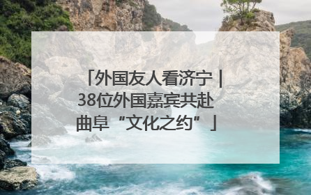 外国友人看济宁｜38位外国嘉宾共赴曲阜“文化之约”