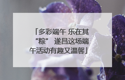 多彩端午 乐在其“粽” 遂昌这场端午活动有趣又温馨