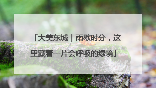 大美东城｜雨歇时分，这里藏着一片会呼吸的绿境