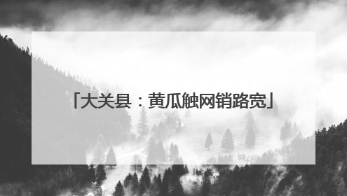 大关县：黄瓜触网销路宽