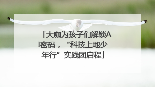 大咖为孩子们解锁AI密码，“科技上地少年行”实践团启程