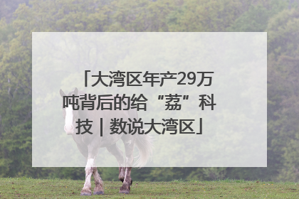 大湾区年产29万吨背后的给“荔”科技｜数说大湾区