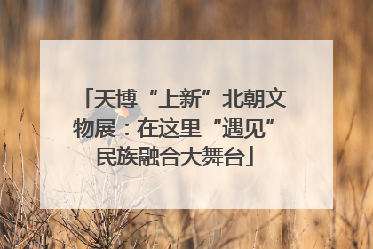 天博“上新”北朝文物展：在这里“遇见”民族融合大舞台