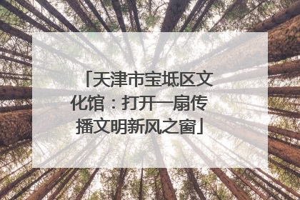 天津市宝坻区文化馆：打开一扇传播文明新风之窗