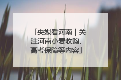 央媒看河南｜关注河南小麦收购、高考保障等内容